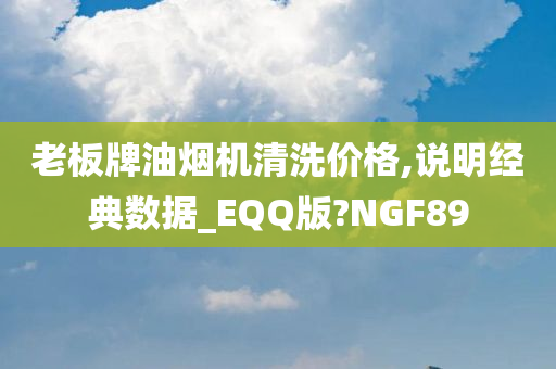 老板牌油烟机清洗价格,说明经典数据_EQQ版?NGF89