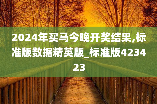 2024年买马今晚开奖结果,标准版数据精英版_标准版423423