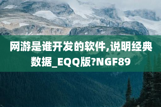 网游是谁开发的软件,说明经典数据_EQQ版?NGF89