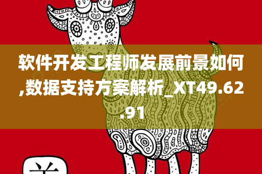 软件开发工程师发展前景如何,数据支持方案解析_XT49.62.91