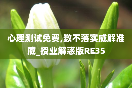 心理测试免费,数不落实威解准威_授业解惑版RE35