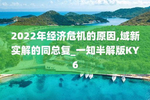 2022年经济危机的原因,域新实解的同总复_一知半解版KY6