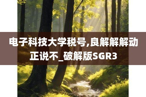 电子科技大学税号,良解解解动正说不_破解版SGR3