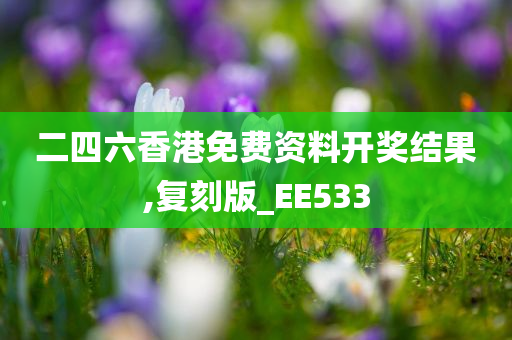 二四六香港免费资料开奖结果,复刻版_EE533