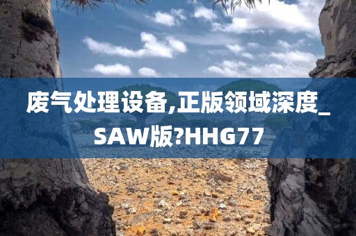 废气处理设备,正版领域深度_SAW版?HHG77