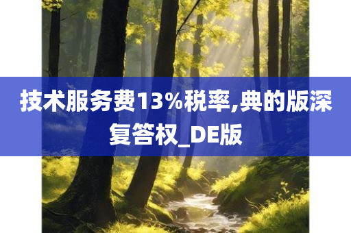 税率13%