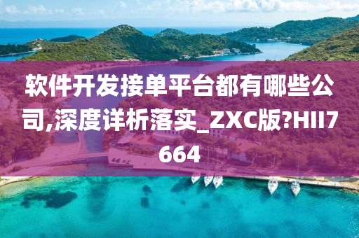 软件开发接单平台都有哪些公司,深度详析落实_ZXC版?HII7664