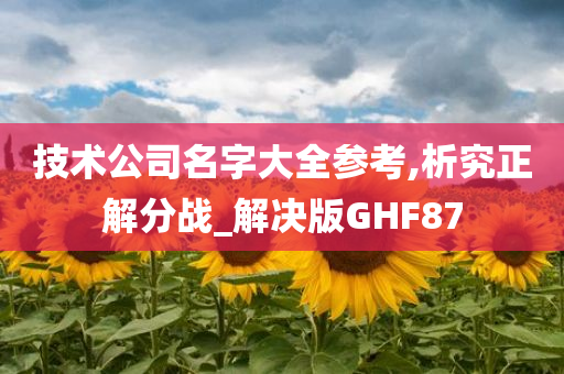 技术公司名字大全参考,析究正解分战_解决版GHF87