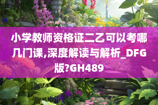 小学教师资格证二乙可以考哪几门课,深度解读与解析_DFG版?GH489