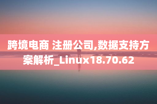 跨境电商 注册公司,数据支持方案解析_Linux18.70.62