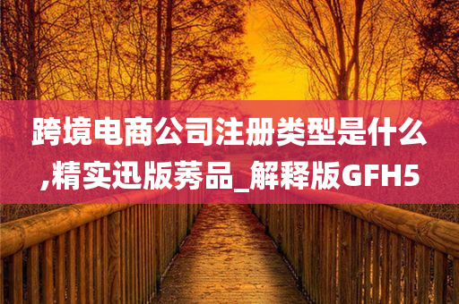 跨境电商公司注册类型是什么,精实迅版莠品_解释版GFH5