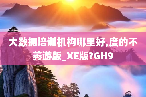 大数据培训机构哪里好,度的不莠游版_XE版?GH9