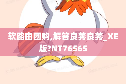 软路由团购,解答良莠良莠_XE版?NT76565