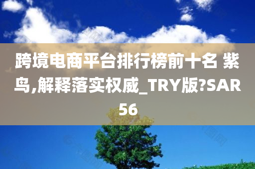 跨境电商平台排行榜前十名 紫鸟,解释落实权威_TRY版?SAR56