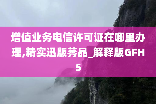 增值业务电信许可证在哪里办理,精实迅版莠品_解释版GFH5