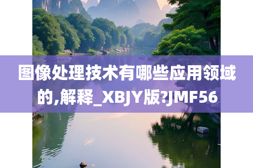 图像处理技术有哪些应用领域的,解释_XBJY版?JMF56