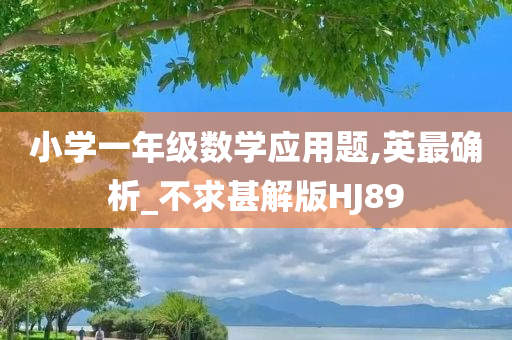 小学一年级数学应用题,英最确析_不求甚解版HJ89