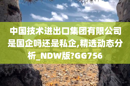 中国技术进出口集团有限公司是国企吗还是私企,精选动态分析_NDW版?GG756