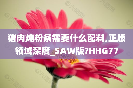 猪肉炖粉条需要什么配料,正版领域深度_SAW版?HHG77