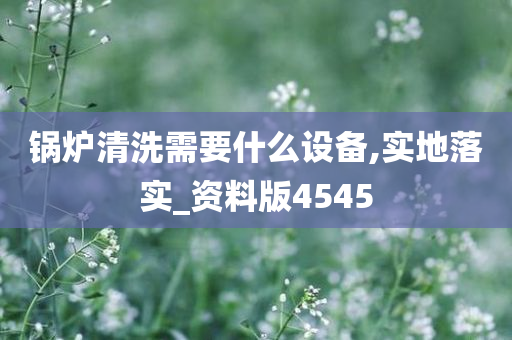 锅炉清洗需要什么设备,实地落实_资料版4545