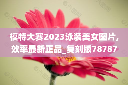 模特大赛2023泳装美女图片,效率最新正品_复刻版78787