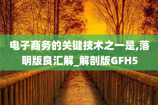 电子商务的关键技术之一是,落明版良汇解_解剖版GFH5