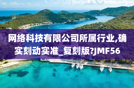 网络科技有限公司所属行业,确实刻动实准_复刻版?JMF56