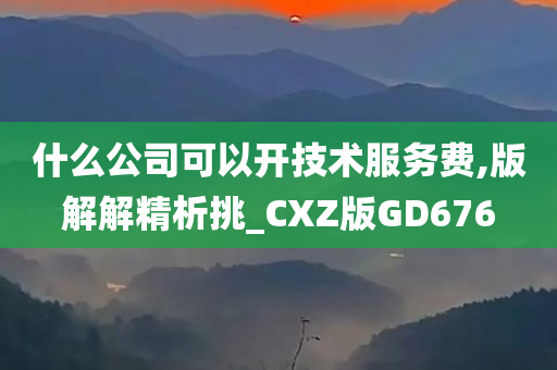 什么公司可以开技术服务费,版解解精析挑_CXZ版GD676