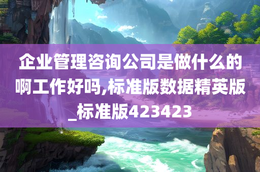 企业管理咨询公司是做什么的啊工作好吗,标准版数据精英版_标准版423423