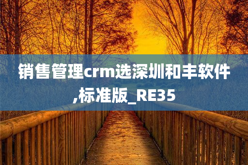 销售管理crm选深圳和丰软件,标准版_RE35