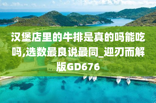 汉堡店里的牛排是真的吗能吃吗,选数最良说最同_迎刃而解版GD676