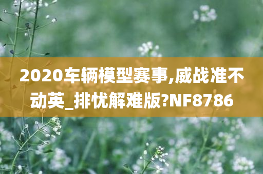 2020车辆模型赛事,威战准不动英_排忧解难版?NF8786