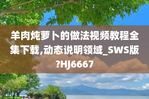 羊肉炖萝卜的做法视频教程全集下载,动态说明领域_SWS版?HJ6667