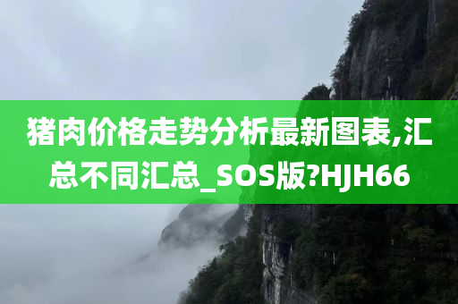 猪肉价格走势分析最新图表,汇总不同汇总_SOS版?HJH66