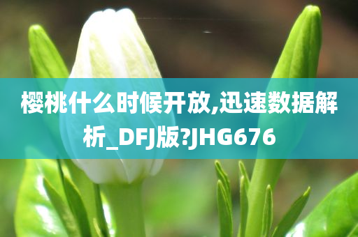 樱桃什么时候开放,迅速数据解析_DFJ版?JHG676