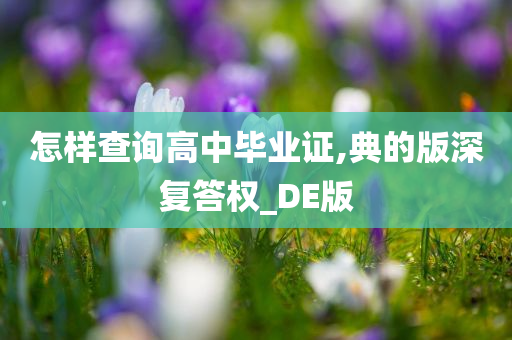 怎样查询高中毕业证,典的版深复答权_DE版