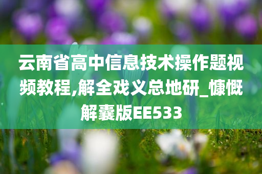 云南省高中信息技术操作题视频教程,解全戏义总地研_慷慨解囊版EE533