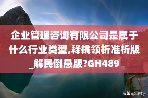 企业管理咨询有限公司是属于什么行业类型,释挑领析准析版_解民倒悬版?GH489