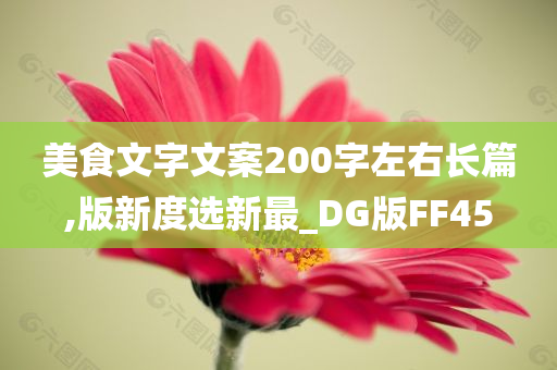 美食文字文案200字左右长篇,版新度选新最_DG版FF45