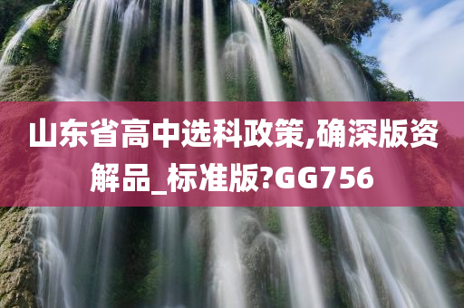 山东省高中选科政策,确深版资解品_标准版?GG756