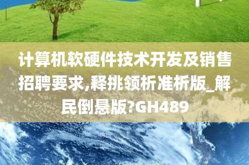 计算机软硬件技术开发及销售招聘要求,释挑领析准析版_解民倒悬版?GH489