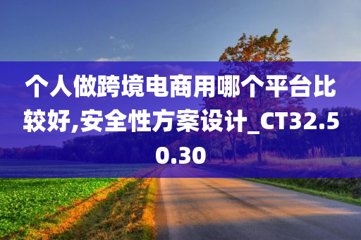 个人做跨境电商用哪个平台比较好,安全性方案设计_CT32.50.30