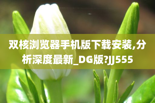 双核浏览器手机版下载安装,分析深度最新_DG版?JJ555