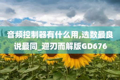 音频控制器有什么用,选数最良说最同_迎刃而解版GD676