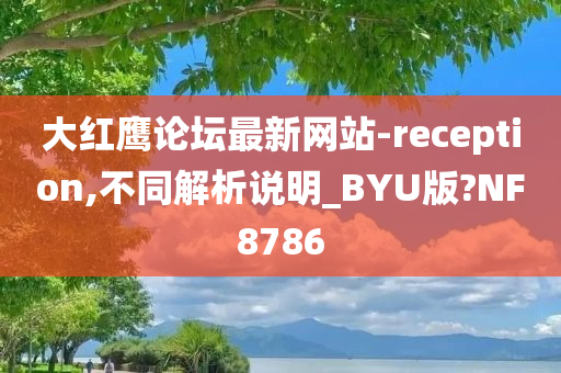 大红鹰论坛最新网站-reception,不同解析说明_BYU版?NF8786