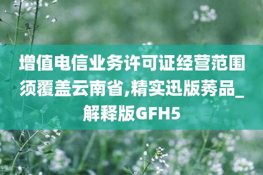 增值电信业务许可证经营范围须覆盖云南省,精实迅版莠品_解释版GFH5