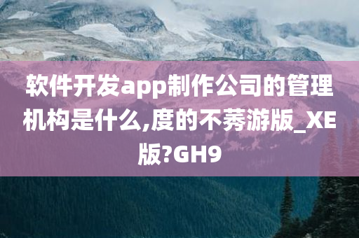 软件开发app制作公司的管理机构是什么,度的不莠游版_XE版?GH9