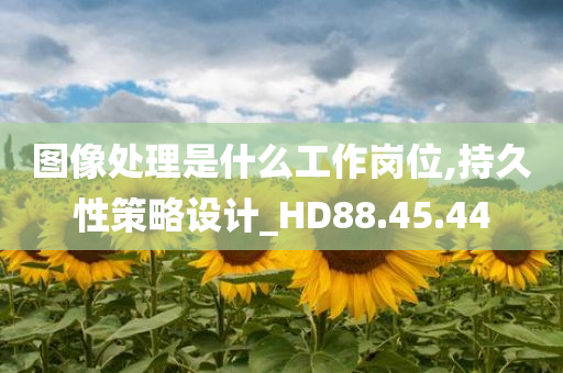 图像处理是什么工作岗位,持久性策略设计_HD88.45.44