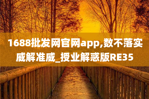 1688批发网官网app,数不落实威解准威_授业解惑版RE35