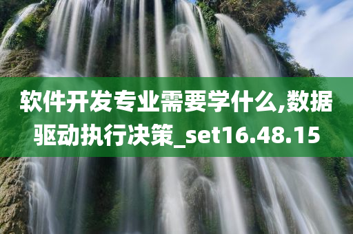 软件开发专业需要学什么,数据驱动执行决策_set16.48.15